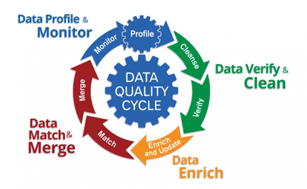 Data Quality Cycle