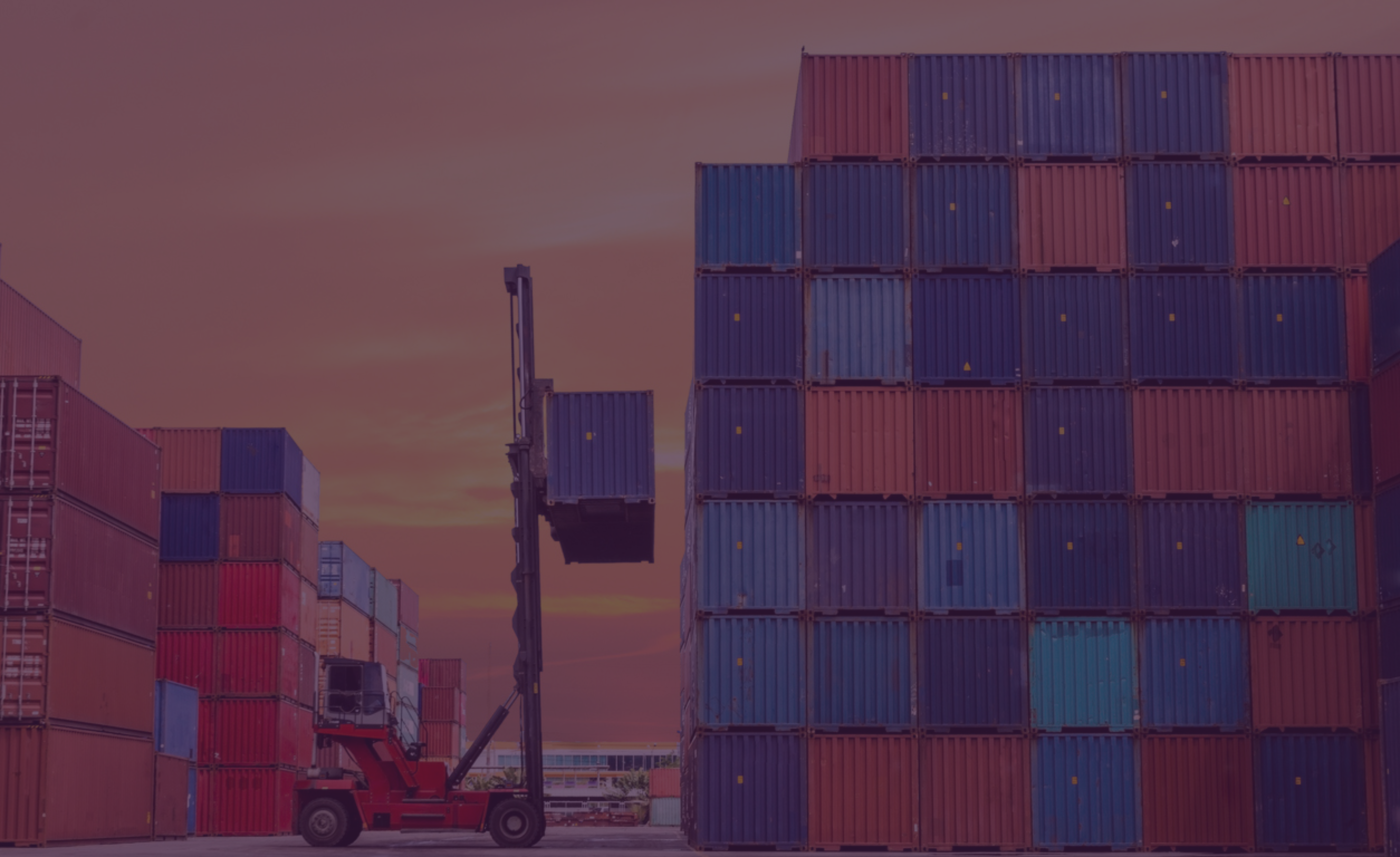 Image showing international delivery