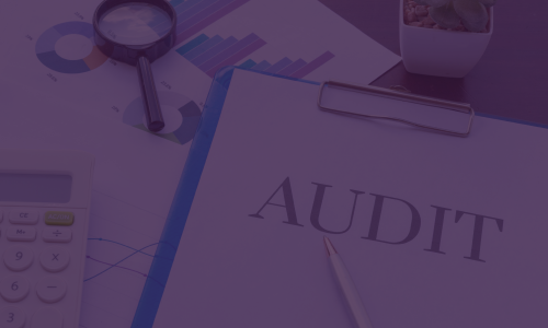 Image showing audit files