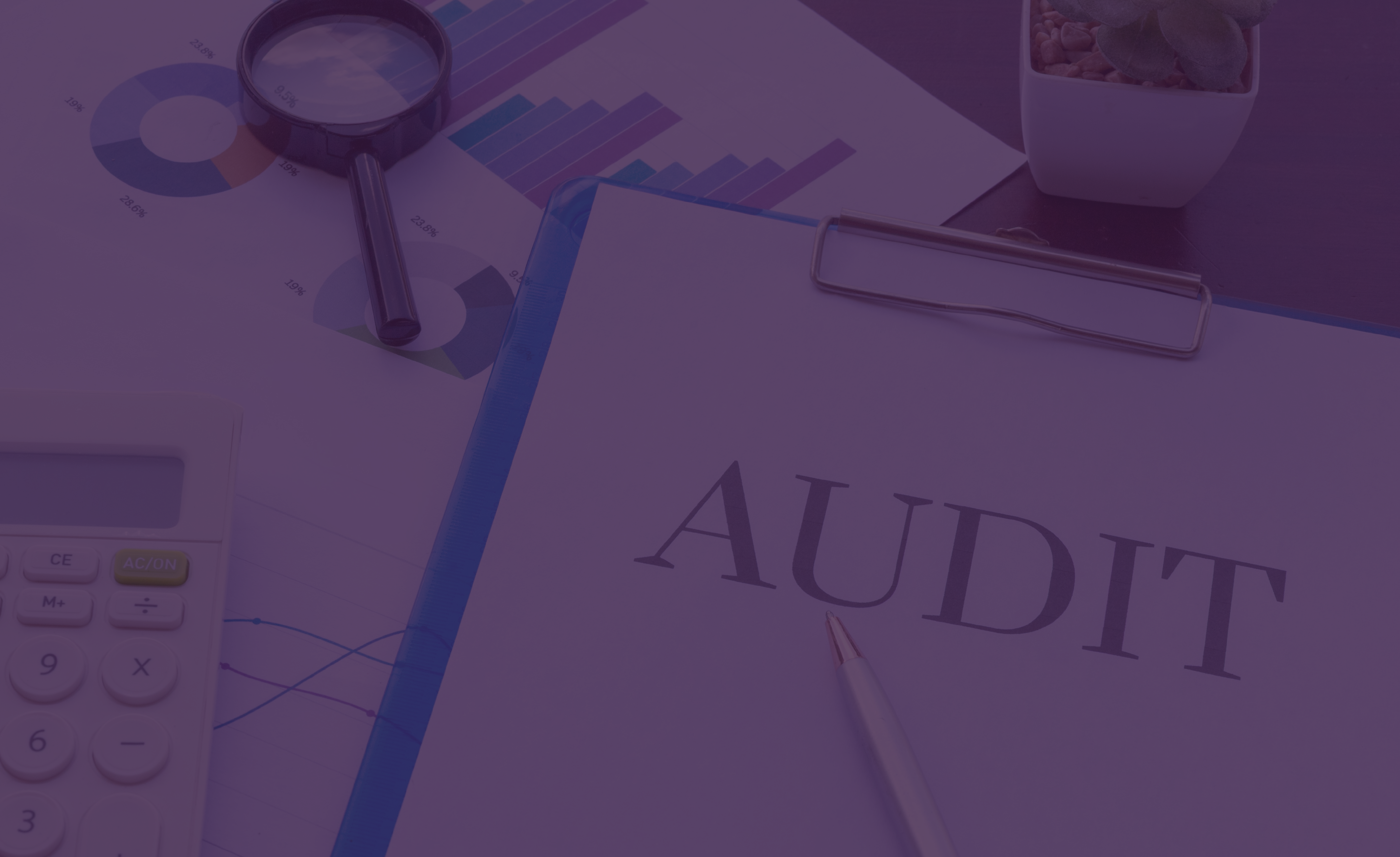 Image showing audit files