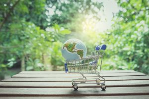 mini shopping cart and globe ball