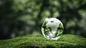 Crystal earth on ferns in green grass forest with sunlight. Environment, save the World, earth day, ecology, and Conservation Concepts.